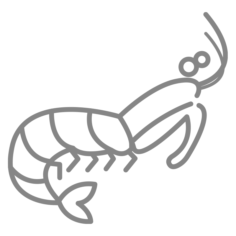 radeberger-risotto-con-le-canocchie